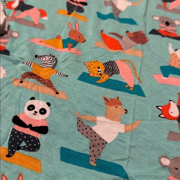 Little Sleepies yoga animals on aqua snap-Henley long sleeve top (XXL) - EUC! - Picture 2 of 10